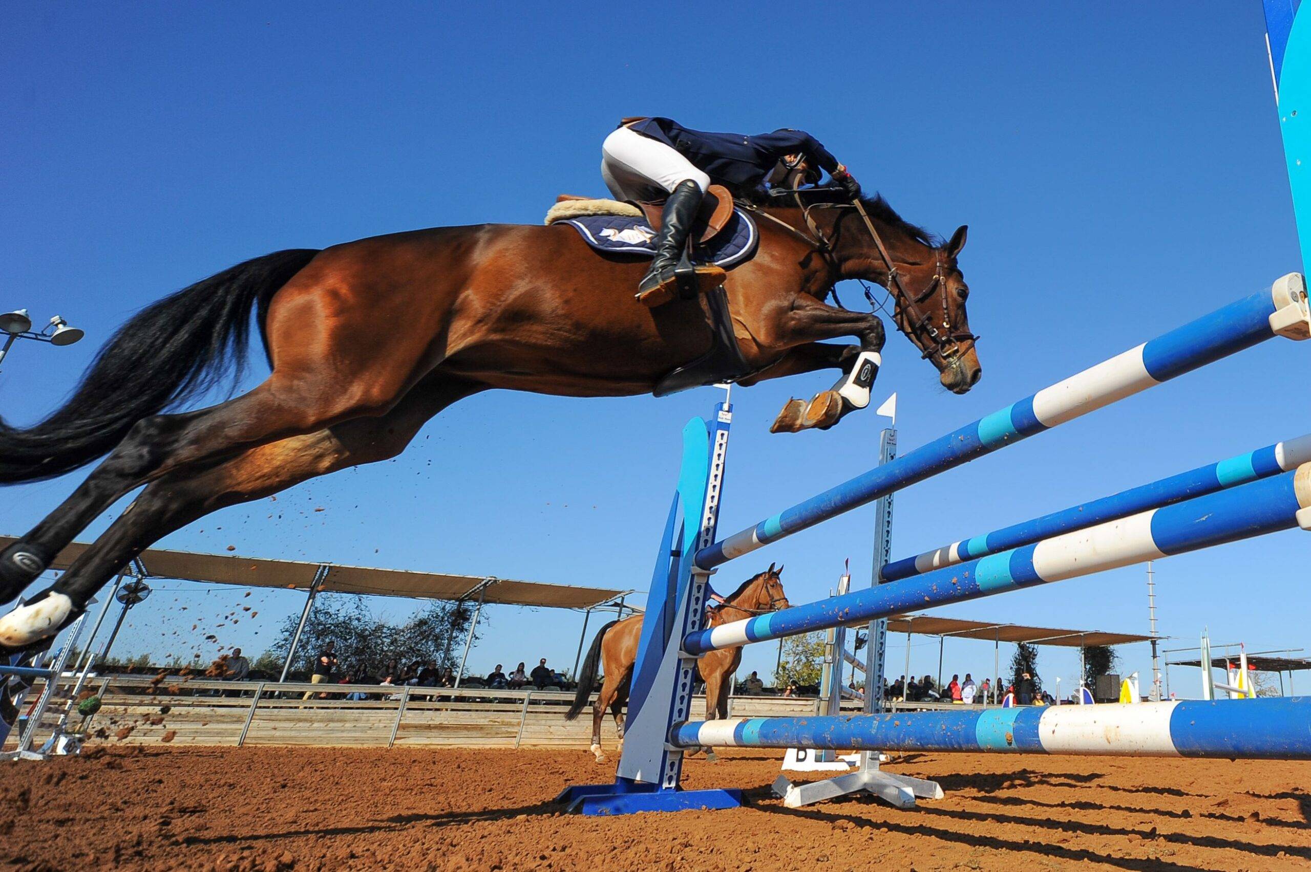 A person sits on a horse and jumps over an obstacle
